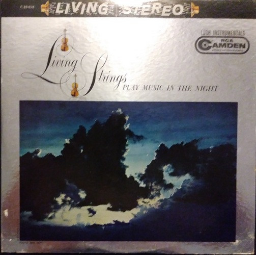 Living Strings Play Music In The Night